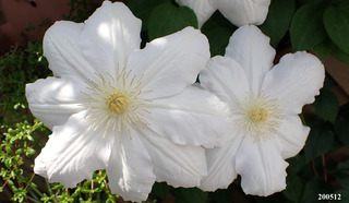 200512テッセン.jpg