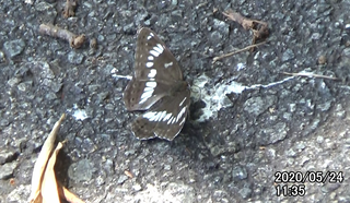 200524アサマ1135.bmp