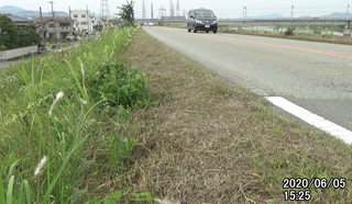 200605路肩除草.bmp