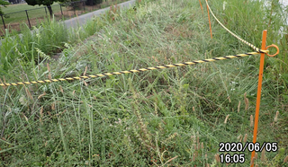 200605after.bmp
