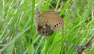 200606赤2_1453.bmp