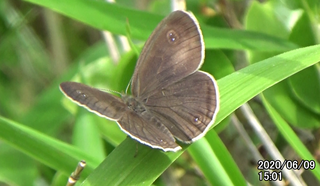 200609ウラナミJ1501.bmp