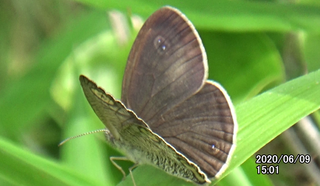 200609ウラナミJ1501c.bmp