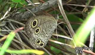 200612ウラナミJ1342.bmp
