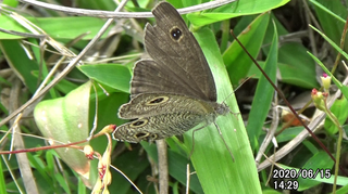 200615ウラナミJ1429.bmp