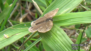 200627ウラナミJ1501.bmp