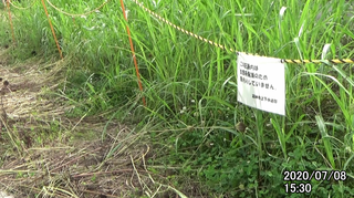 200708除草1530.bmp